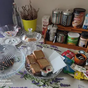 Holiday House I Colli Pisani Appartement